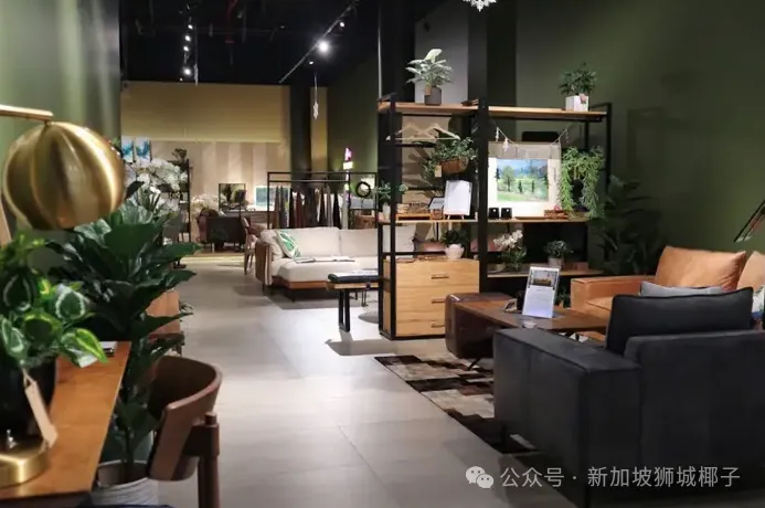新加坡这24家私藏家具店