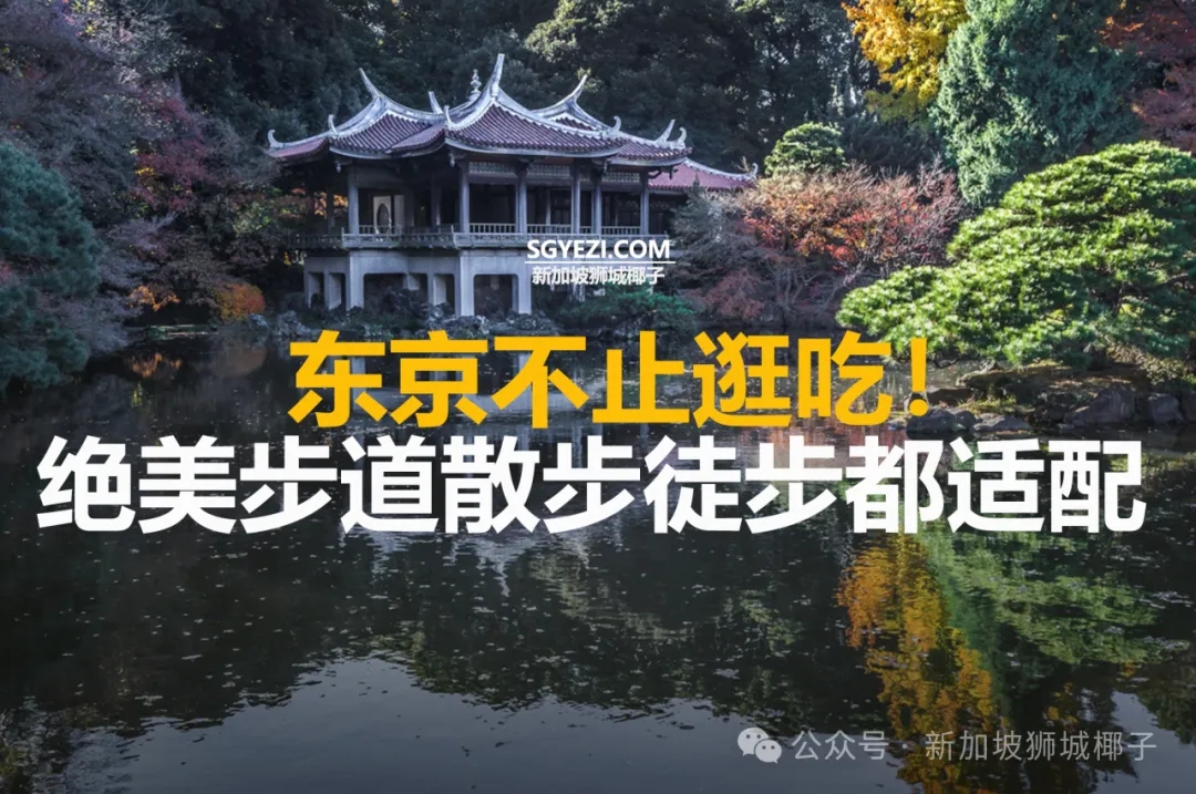 新加坡假期去东京玩别只盯着吃！这些地标景点不打卡太可惜~