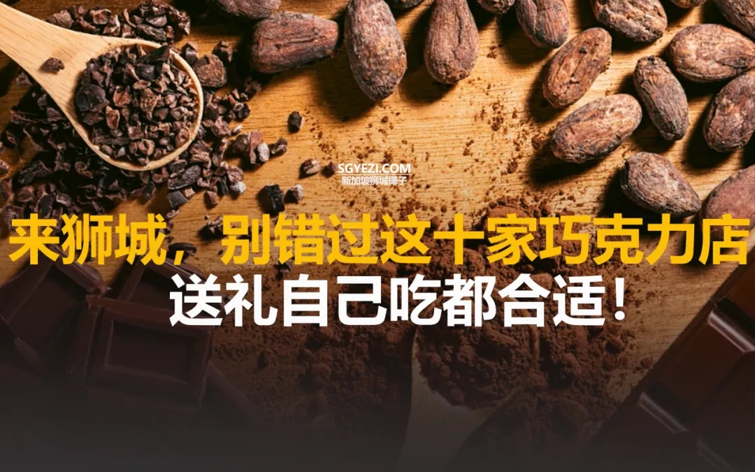 在新加坡，别错过这十家巧克力店！