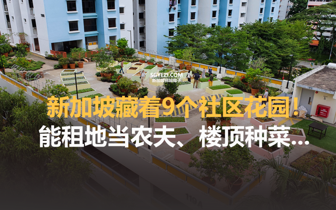 新加坡藏着9个社区花园！