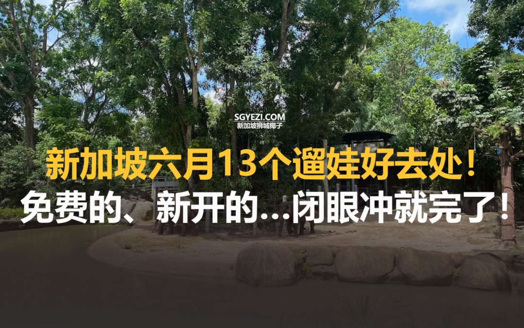 新加坡13个遛娃新去处：集章寻宝、灯光艺术、体育嘉年华…