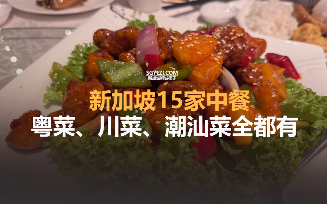 新加坡15家中餐，粤菜川菜潮汕菜全都有