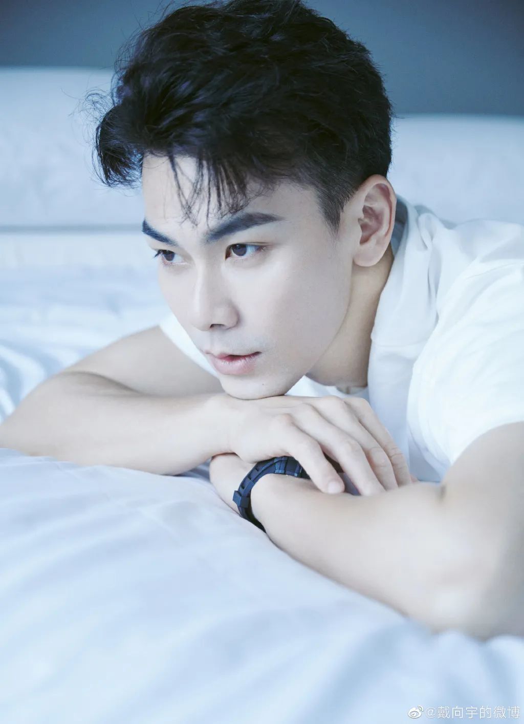 《小娘惹》男主角戴向宇的新加坡pr身份没了!到底是怎么回事?