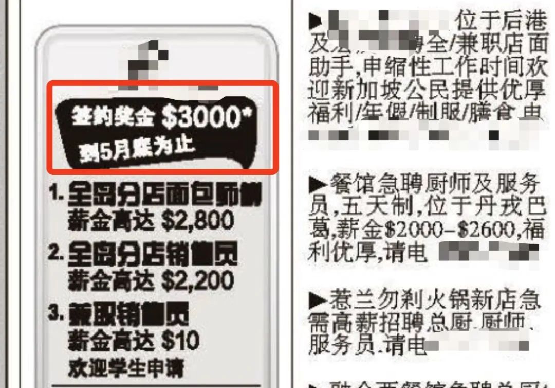 离开中国、美国后，她们都跳槽来新加坡了！2022新加坡各行业薪水、涨幅大PK！,工作