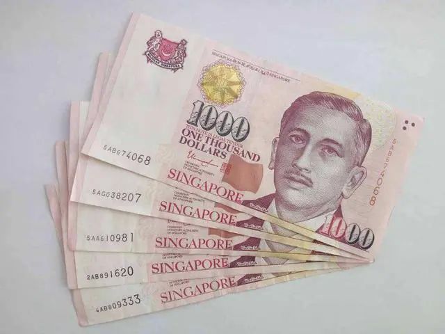 新元是哪个国家的货币？ | EBC金融集团