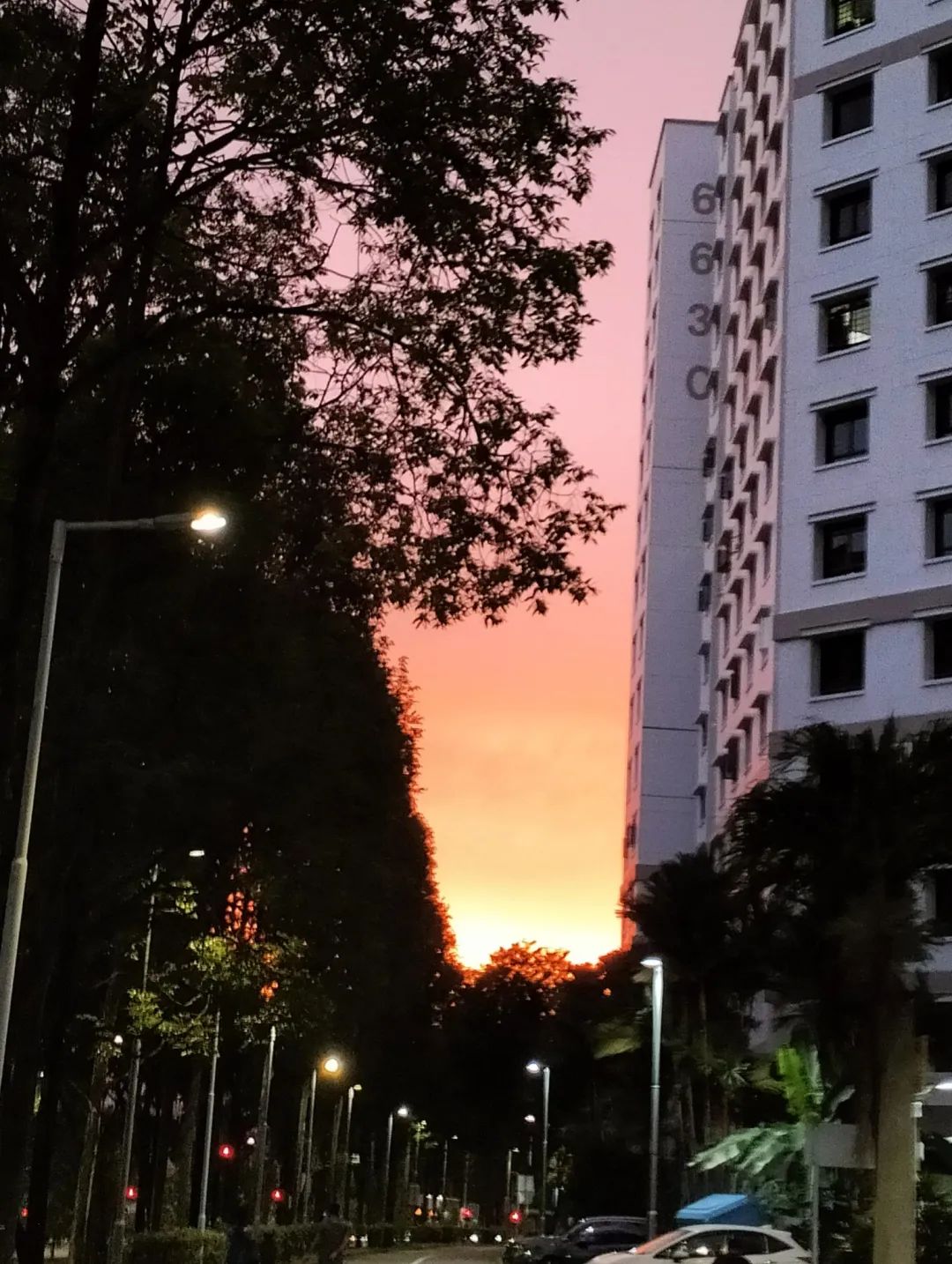 可能是包含下列内容的图片：街道、黎明和云