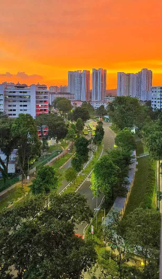 可能是包含下列内容的图片：摩天大楼、树、云、黎明和地平线