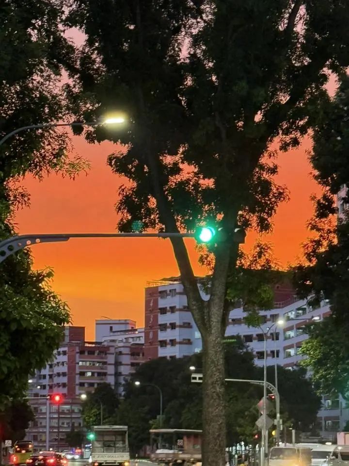 可能是包含下列内容的图片：马路、街道、黎明和树