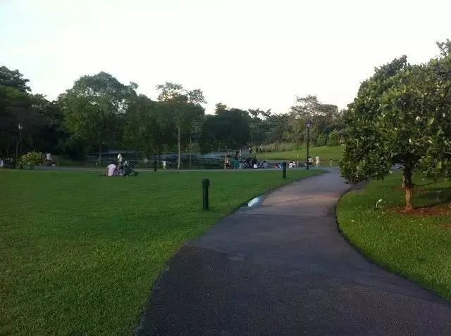 新加坡风景最美的10条跑步路线新加坡风景最美的10条跑步路线