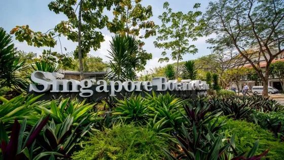 参观新加坡植物园的七大理由- Visit Singapore 官方网站