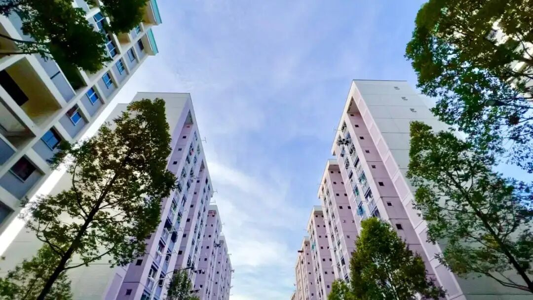 新加坡组屋租金价格